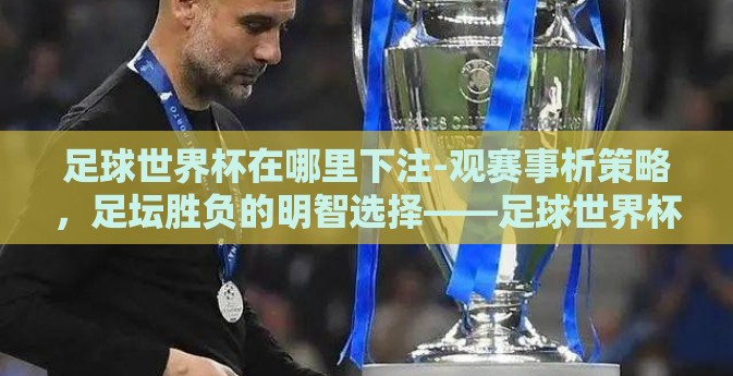 足球世界杯在哪里下注-观赛事析策略，足坛胜负的明智选择——足球世界杯的合法与理性投注