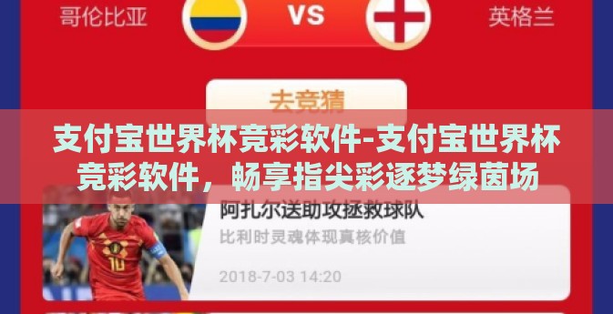 支付宝世界杯竞彩软件-支付宝世界杯竞彩软件，畅享指尖彩逐梦绿茵场