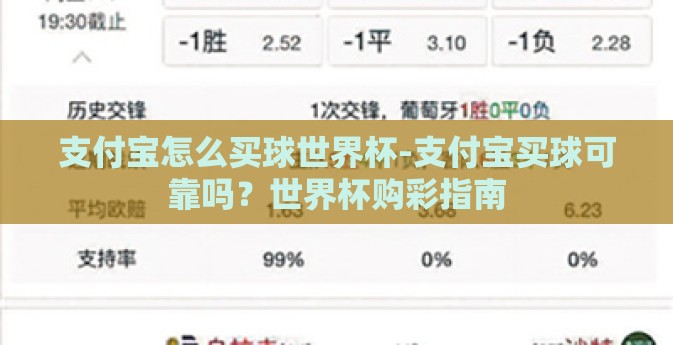 支付宝怎么买球世界杯-支付宝买球可靠吗？世界杯购彩指南