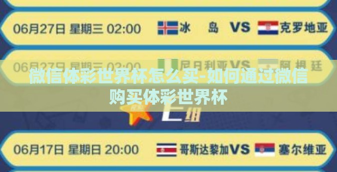 微信体彩世界杯怎么买-如何通过微信购买体彩世界杯