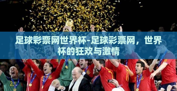 足球彩票网世界杯-足球彩票网，世界杯的狂欢与激情