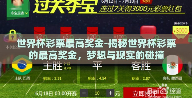 世界杯彩票最高奖金-揭秘世界杯彩票的最高奖金，梦想与现实的碰撞