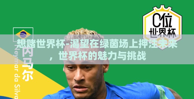 想赌世界杯-渴望在绿茵场上押注未来,世界杯的魅力与挑战 想赌世界杯-渴望在绿茵场上押注未来,世界杯的魅力与挑战