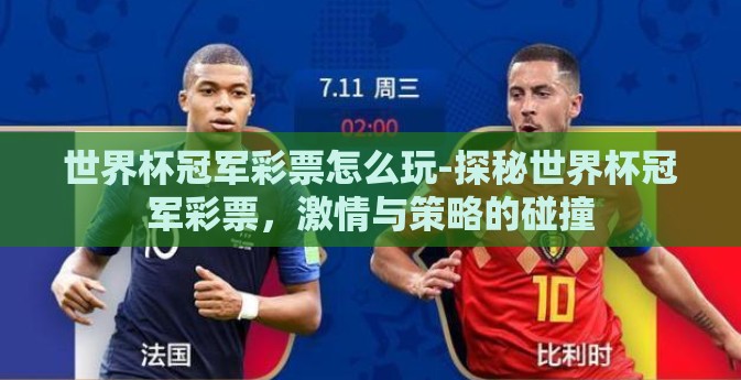 世界杯冠军彩票怎么玩-探秘世界杯冠军彩票，激情与策略的碰撞