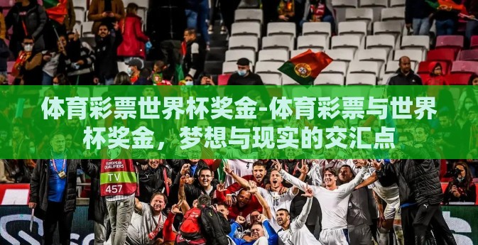 体育彩票世界杯奖金-体育彩票与世界杯奖金，梦想与现实的交汇点