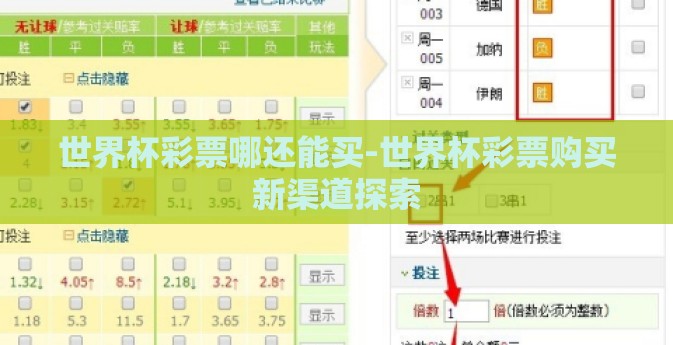 世界杯彩票哪还能买-世界杯彩票购买新渠道探索