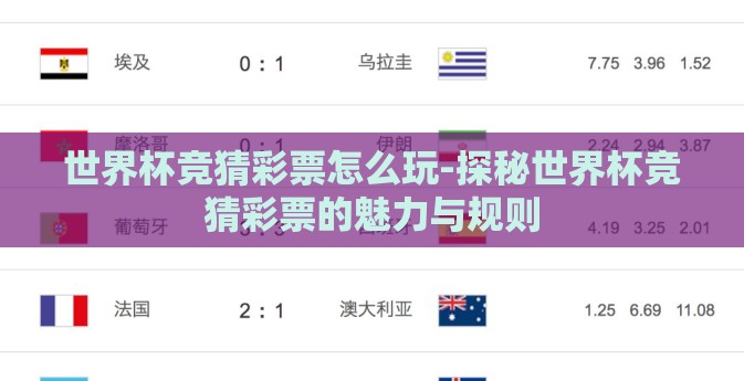 世界杯竞猜彩票怎么玩-探秘世界杯竞猜彩票的魅力与规则