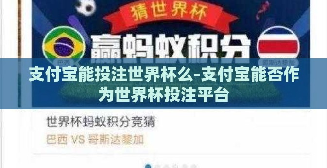 支付宝能投注世界杯么-支付宝能否作为世界杯投注平台