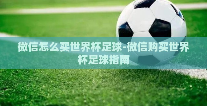 微信怎么买世界杯足球-微信购买世界杯足球指南 微信怎么买世界杯足球-微信购买世界杯足球指南