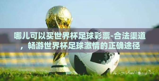 哪儿可以买世界杯足球彩票-合法渠道，畅游世界杯足球激情的正确途径