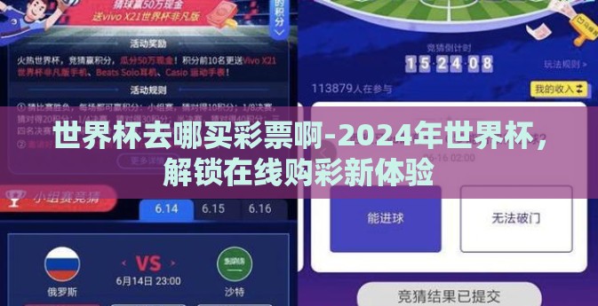世界杯去哪买彩票啊-2024年世界杯，解锁在线购彩新体验