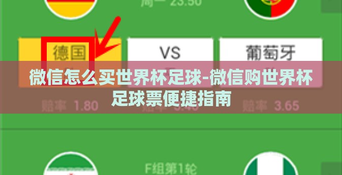 微信怎么买世界杯足球-微信购世界杯足球票便捷指南