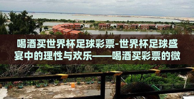 喝酒买世界杯足球彩票-世界杯足球盛宴中的理性与欢乐——喝酒买彩票的微妙平衡