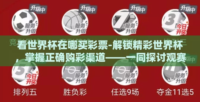 看世界杯在哪买彩票-解锁精彩世界杯，掌握正确购彩渠道——一同探讨观赛购彩之道