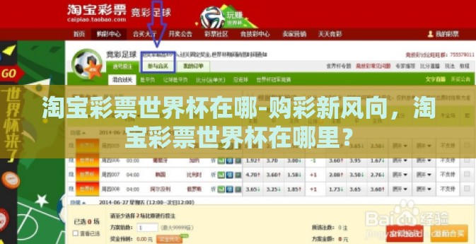 淘宝彩票世界杯在哪-购彩新风向，淘宝彩票世界杯在哪里？