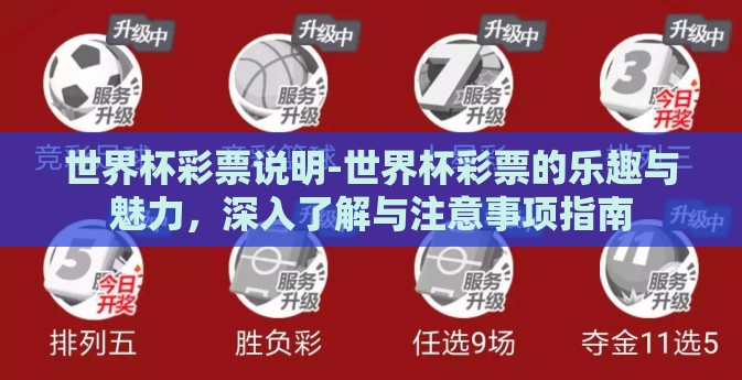 世界杯彩票说明-世界杯彩票的乐趣与魅力，深入了解与注意事项指南
