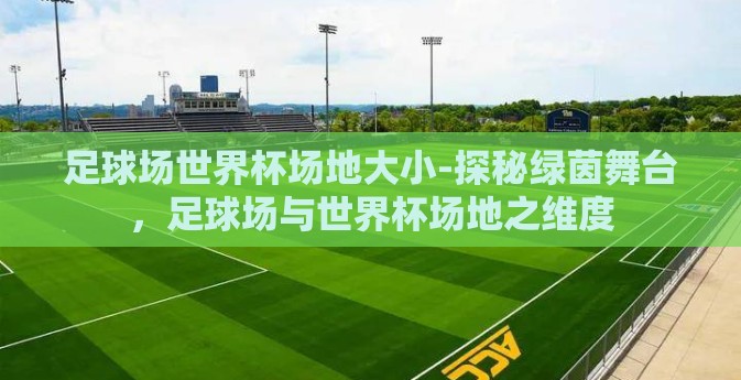 足球场世界杯场地大小-探秘绿茵舞台，足球场与世界杯场地之维度