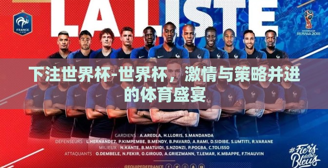 下注世界杯-世界杯，激情与策略并进的体育盛宴