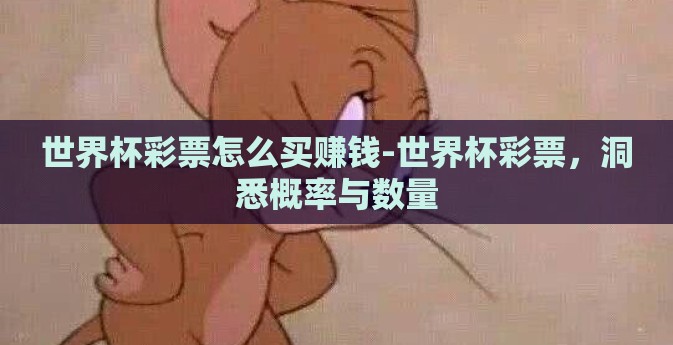 世界杯彩票怎么买赚钱-世界杯彩票，洞悉概率与数量