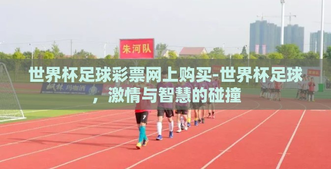 世界杯足球彩票网上购买-世界杯足球，激情与智慧的碰撞