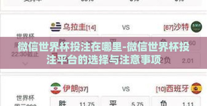 微信世界杯投注在哪里-微信世界杯投注平台的选择与注意事项