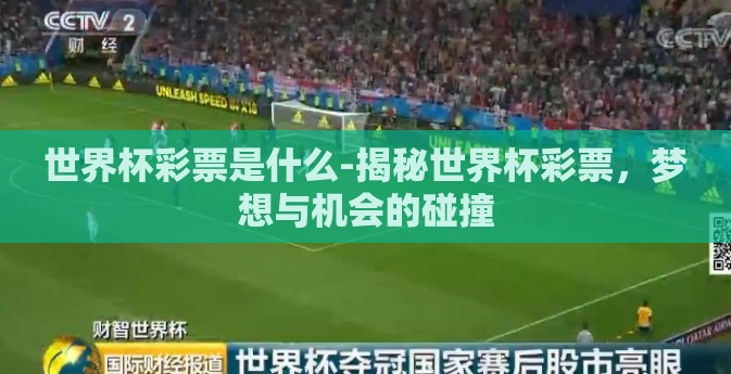世界杯彩票是什么-揭秘世界杯彩票，梦想与机会的碰撞