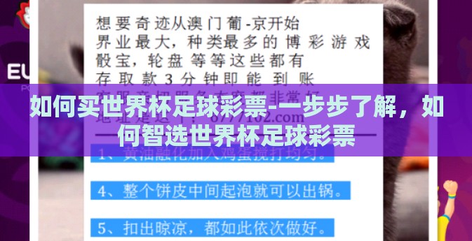 如何买世界杯足球彩票-一步步了解，如何智选世界杯足球彩票