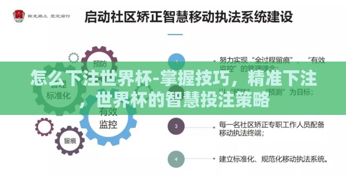 怎么下注世界杯-掌握技巧，精准下注，世界杯的智慧投注策略