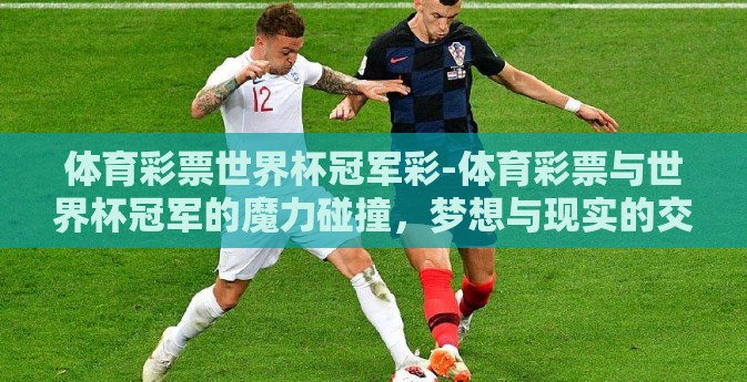 体育彩票世界杯冠军彩-体育彩票与世界杯冠军的魔力碰撞，梦想与现实的交汇