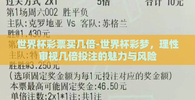 世界杯彩票买几倍-世界杯彩梦，理性审视几倍投注的魅力与风险