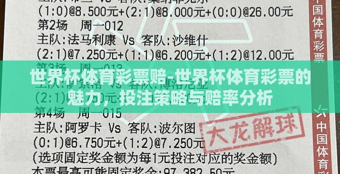 世界杯体育彩票赔-世界杯体育彩票的魅力，投注策略与赔率分析