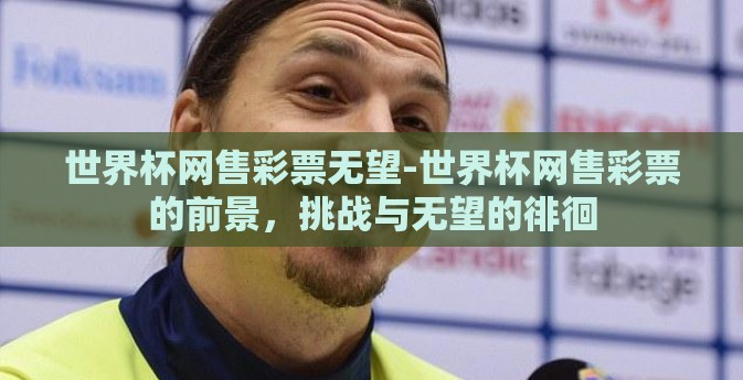 世界杯网售彩票无望-世界杯网售彩票的前景，挑战与无望的徘徊