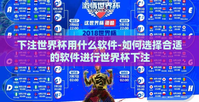 下注世界杯用什么软件-如何选择合适的软件进行世界杯下注