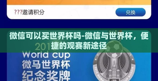 微信可以买世界杯吗-微信与世界杯，便捷的观赛新途径