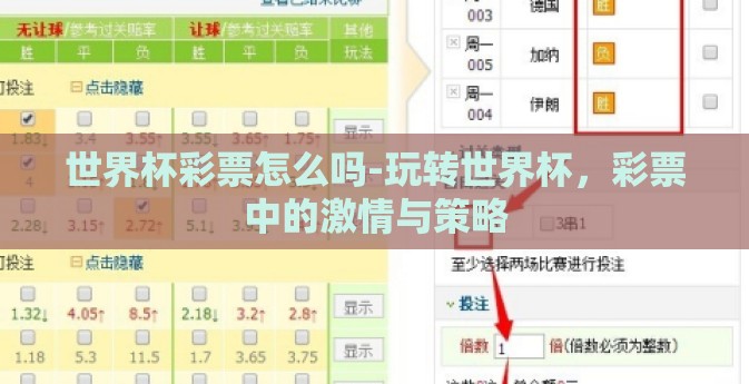 世界杯彩票怎么吗-玩转世界杯，彩票中的激情与策略