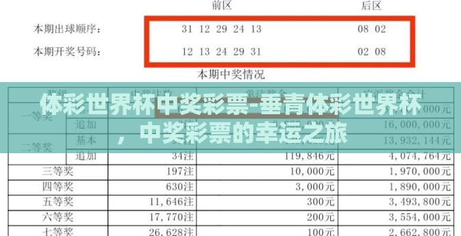 体彩世界杯中奖彩票-垂青体彩世界杯，中奖彩票的幸运之旅