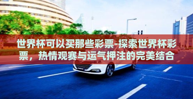 世界杯可以买那些彩票-探索世界杯彩票，热情观赛与运气押注的完美结合
