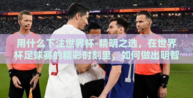用什么下注世界杯-精明之选，在世界杯足球赛的精彩时刻里，如何做出明智的下注决策