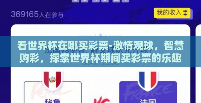 看世界杯在哪买彩票-激情观球，智慧购彩，探索世界杯期间买彩票的乐趣与攻略