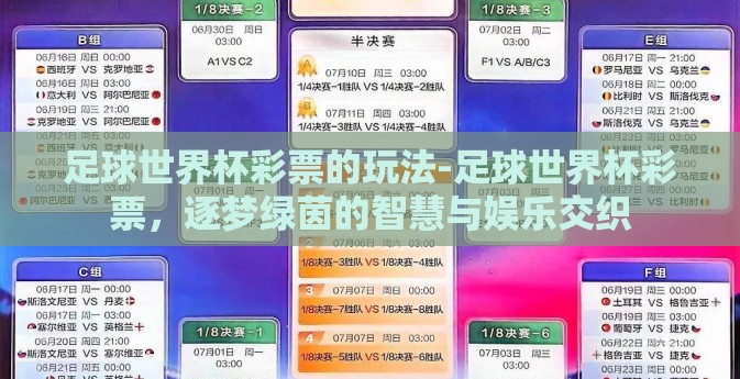 足球世界杯彩票的玩法-足球世界杯彩票，逐梦绿茵的智慧与娱乐交织