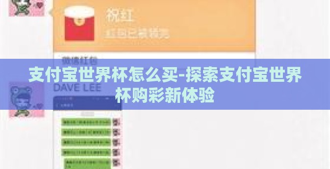 支付宝世界杯怎么买-探索支付宝世界杯购彩新体验