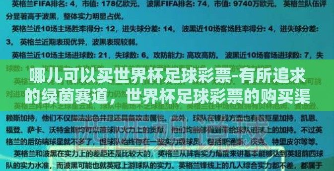 哪儿可以买世界杯足球彩票-有所追求的绿茵赛道，世界杯足球彩票的购买渠道探讨