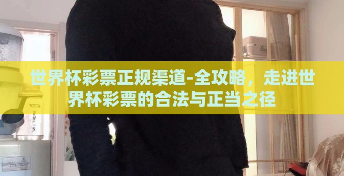 世界杯彩票正规渠道-全攻略，走进世界杯彩票的合法与正当之径