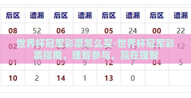 世界杯冠军彩票怎么买-世界杯冠军彩票指南，理智参与，赢在理智