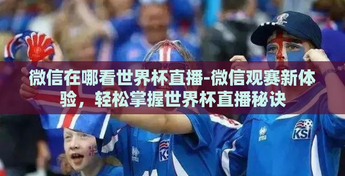 微信在哪看世界杯直播-微信观赛新体验，轻松掌握世界杯直播秘诀