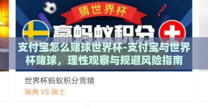 支付宝怎么赌球世界杯-支付宝与世界杯赌球，理性观察与规避风险指南