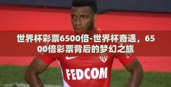 世界杯彩票6500倍-世界杯奇遇，6500倍彩票背后的梦幻之旅