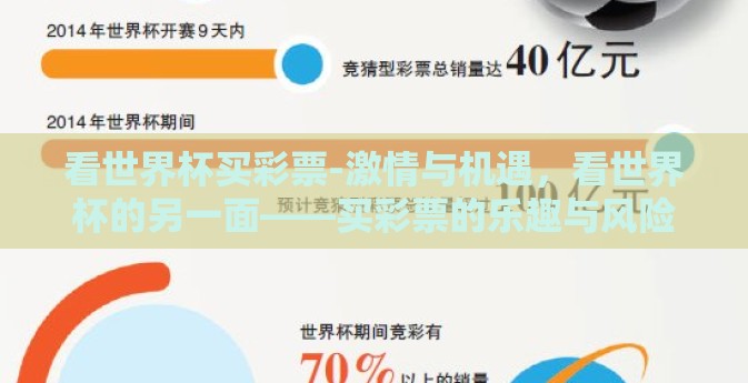 看世界杯买彩票-激情与机遇，看世界杯的另一面——买彩票的乐趣与风险考量