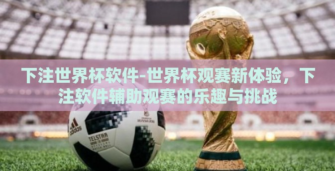 下注世界杯软件-世界杯观赛新体验，下注软件辅助观赛的乐趣与挑战