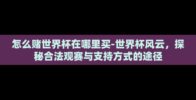 怎么赌世界杯在哪里买-世界杯风云，探秘合法观赛与支持方式的途径